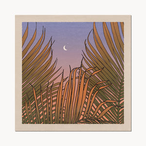'Through The Palms' Print | 12x12