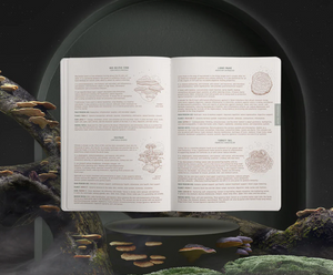 2023 ASTROLOGICAL Planner